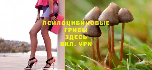 прущий лед Горно-Алтайск
