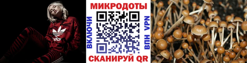 купить закладку  Нижнекамск  Псилоцибиновые грибы Magic Shrooms 