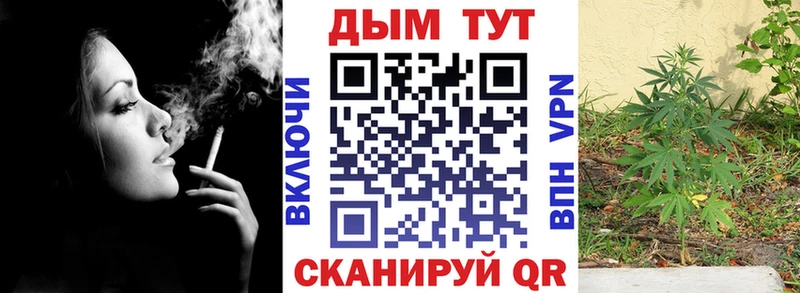 Конопля THC 21%  hydra онион  Нижнекамск 